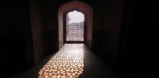 En Akıllı İnsan Kimdir