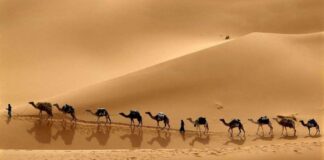 Hz. İshak’ın (a.s.) Hayatı