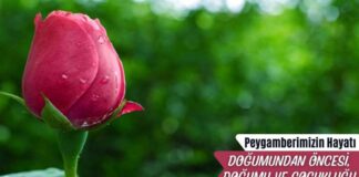 Hz. Âmine’nin Ebedî Aleme Göçü