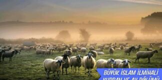 Avın Mahiyeti ve Caiz Oluşu