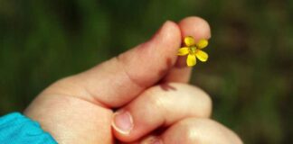 Zarâfet ve Nezâket Müslümanın Alâmet-i Fârikasıdır