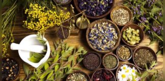 Hz. Lokman’ın (a.s.) Hayatı